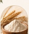 Wheat Flour